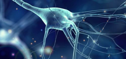 晨兴资本加持，生物医药新星Amylyx冲刺美股IPO